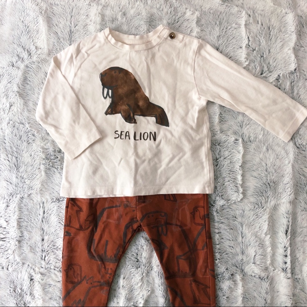 Sea lion set